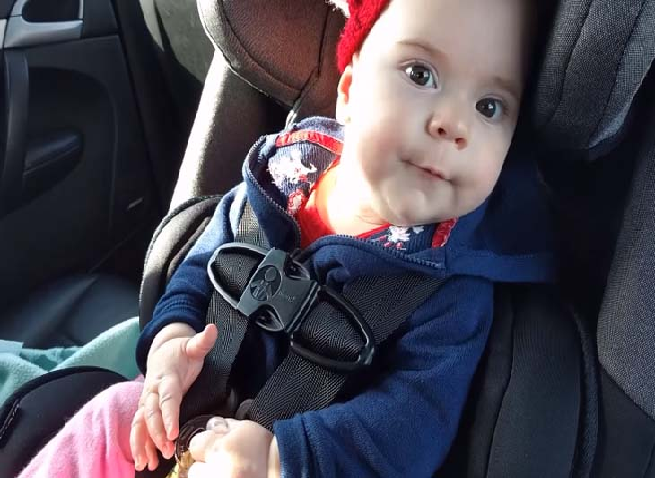 Toddler Car Seat Reviews: Which One Should You Get?