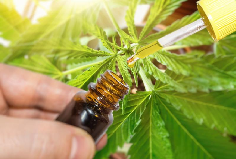 Do You Know About CBD Concentrate 101?