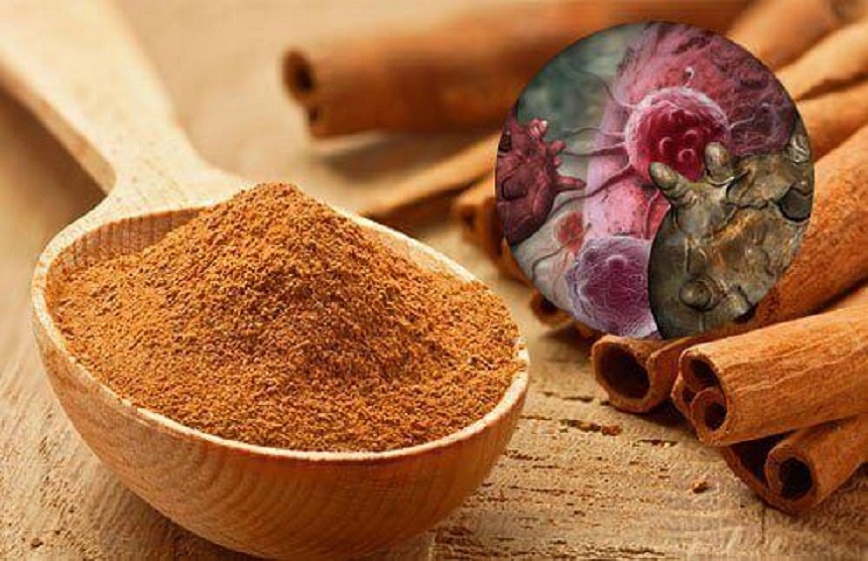 Cinnamomum Extract To Enable Different Health Benefits