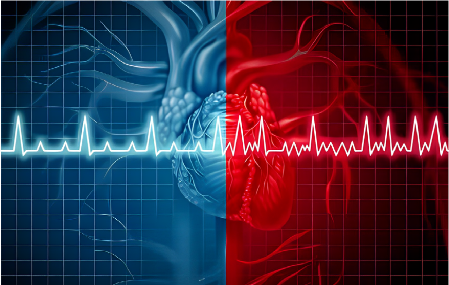 How To Determine a Normal Heart Rate From A Dangerous One