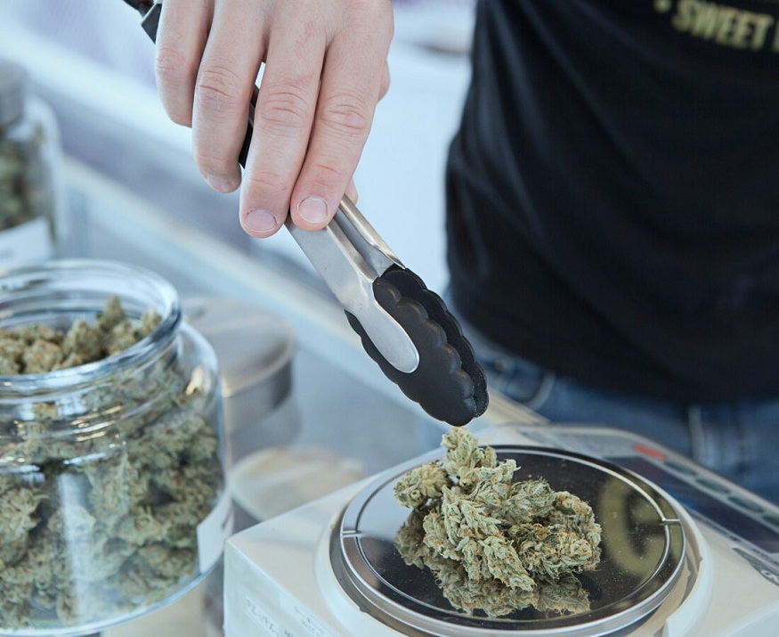 Cannabis Dispensary Licenses