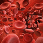 Blood Flow