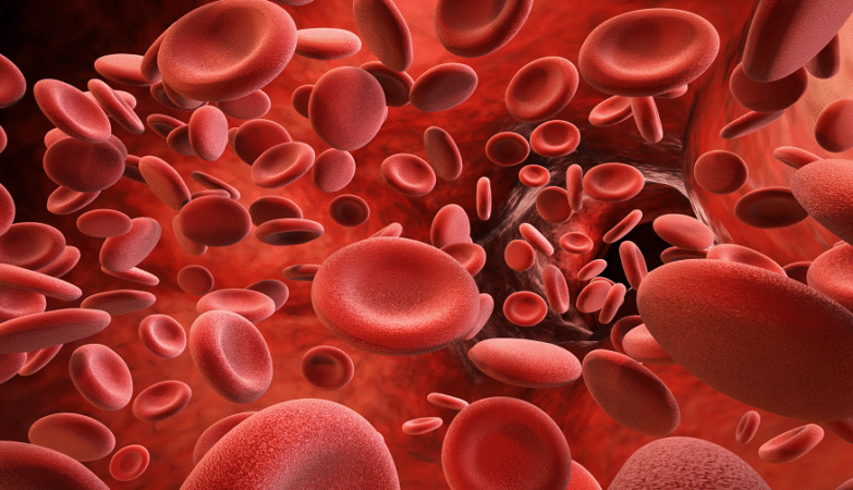 Blood Flow
