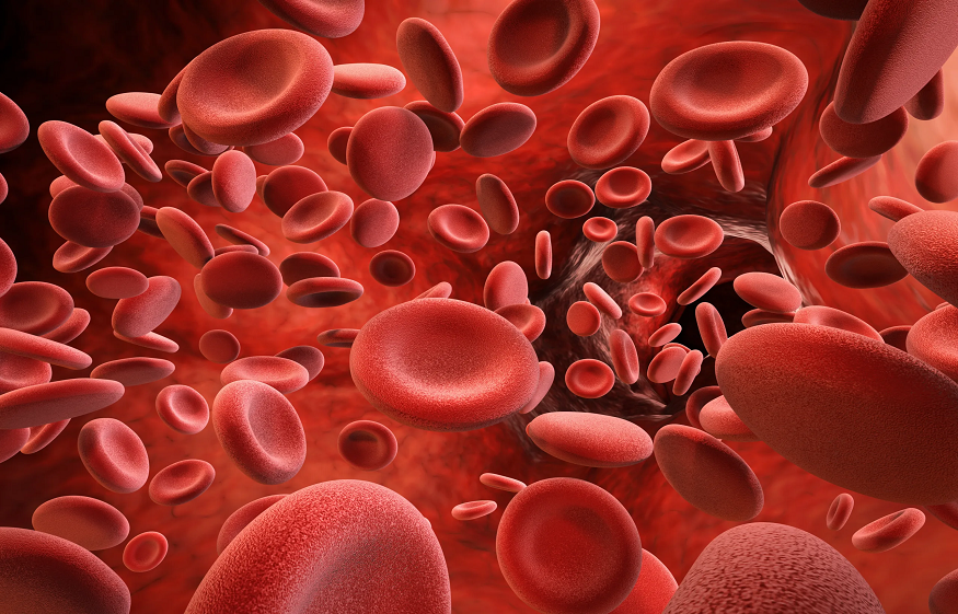 How Compression Shorts Enhance Blood Flow & Oxygen Delivery for Peak Performance