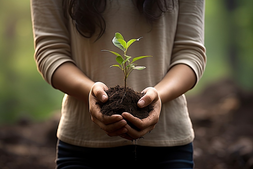 Balancing Convenience with Environmental Responsibility