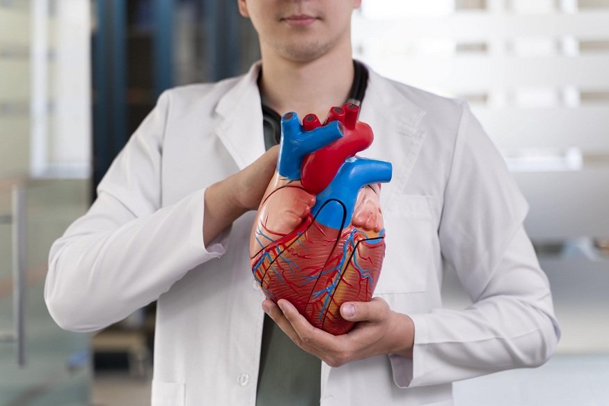 Cardiology: Emergency Response and Long-Term Heart Care